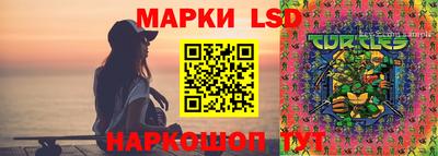 прущие грибы Будённовск