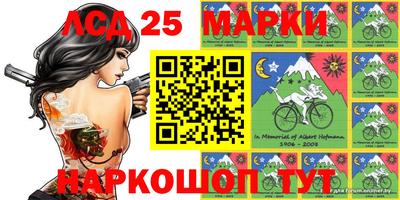 прущие грибы Будённовск