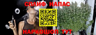 прущие грибы Будённовск