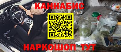 прущие грибы Будённовск